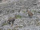 Dachstein 24.-27.08.2006-thb54.jpg